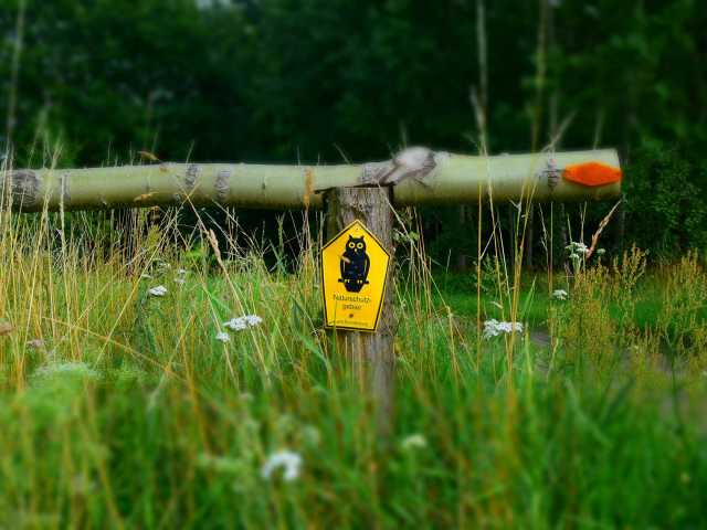 Verkauf Haus Grundstück Wohnen Eigentum Ferien Bad Freienwalde Brandenburg Oderbruch Polnische Grenze Natur Landschaft Landschaftschutzgebiet Naturschutz